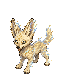 Mirage Pup sprite