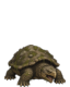 Siltback Turtle sprite